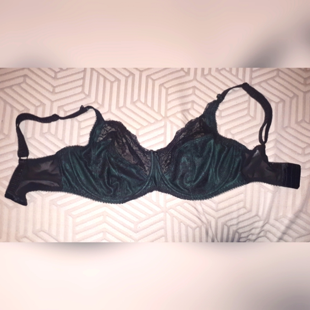 Fantasie Isabella full cup bra, emerald and black UK 32GG / US 32J